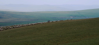 Pastevci u jezera Paravani